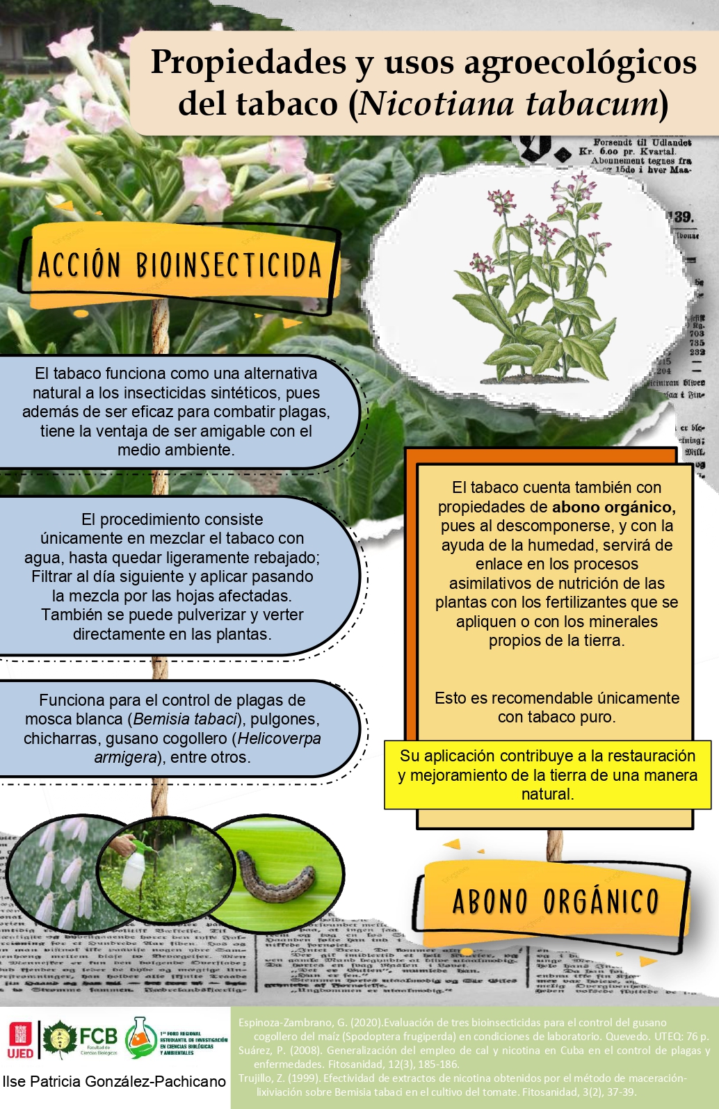 Propiedades Y Usos Agroecol Gicos Del Tabaco Nicotiana Tabacum